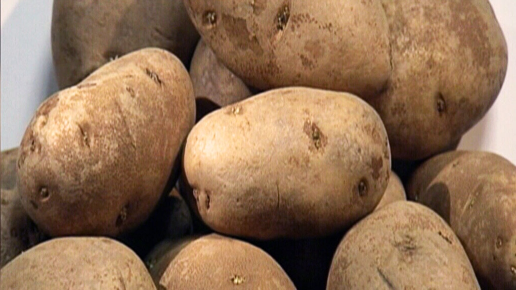 ctv-news-channel--preventing-obesity-with-potatoes-1-2146496-1637596144774.jpg