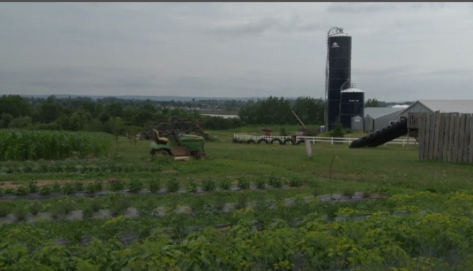 Agriculture farm 