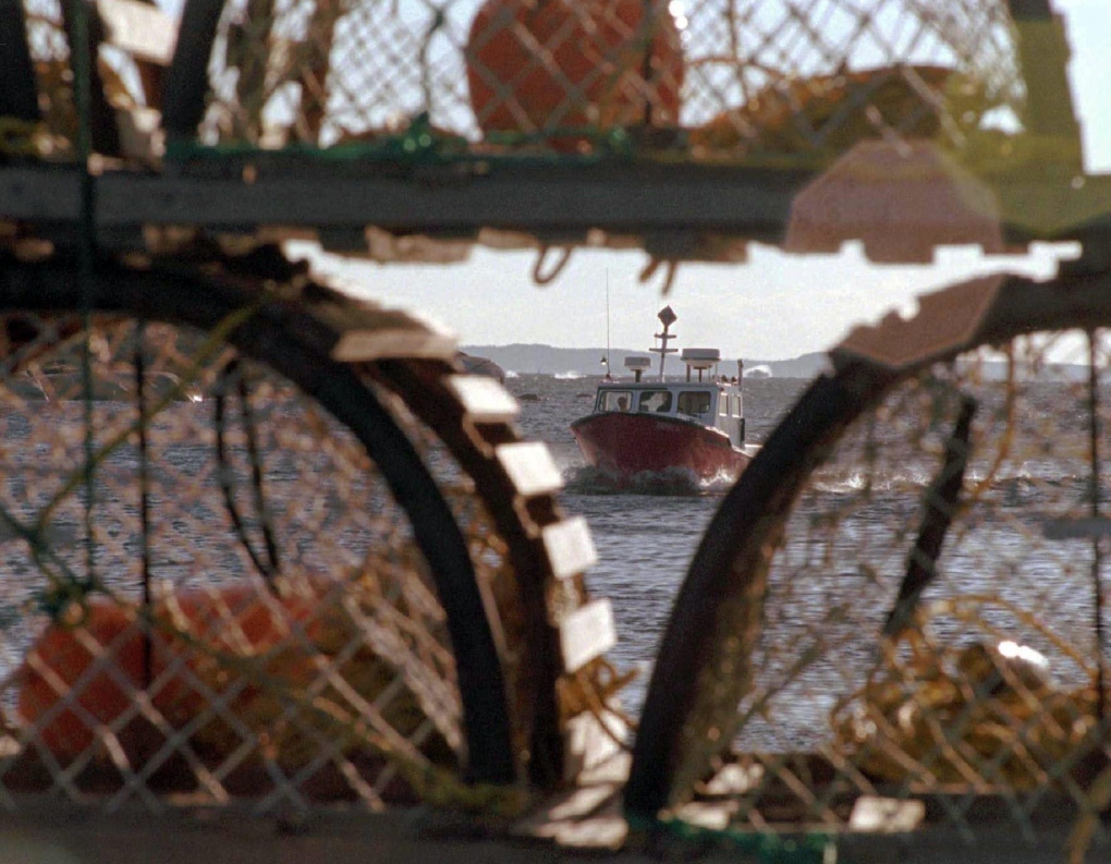 This file photo shows a fishing boat framed by lobster traps in West Dover, N.S. (Andrew Vaughan/THE CANADIAN PRESS)