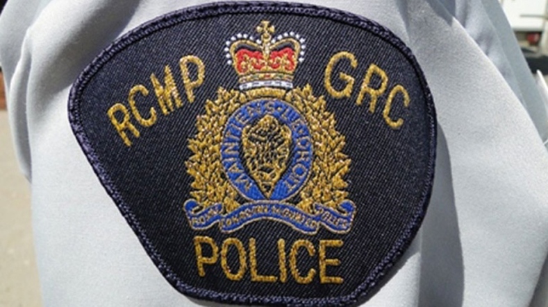 Nova Scotia RCMP say a 41-year-old man has died after being struck by a pickup truck Friday evening in Barrington Passage, N.S.