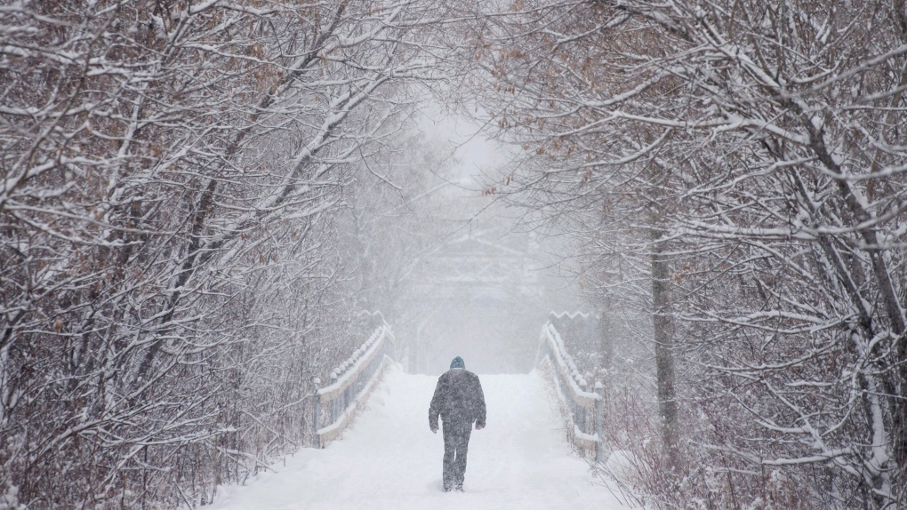 A man walks through a walking trail during a snow storm in Fredericton on Sunday, December 27, 2015.  (THE CANADIAN PRESS/Darren Calabrese)