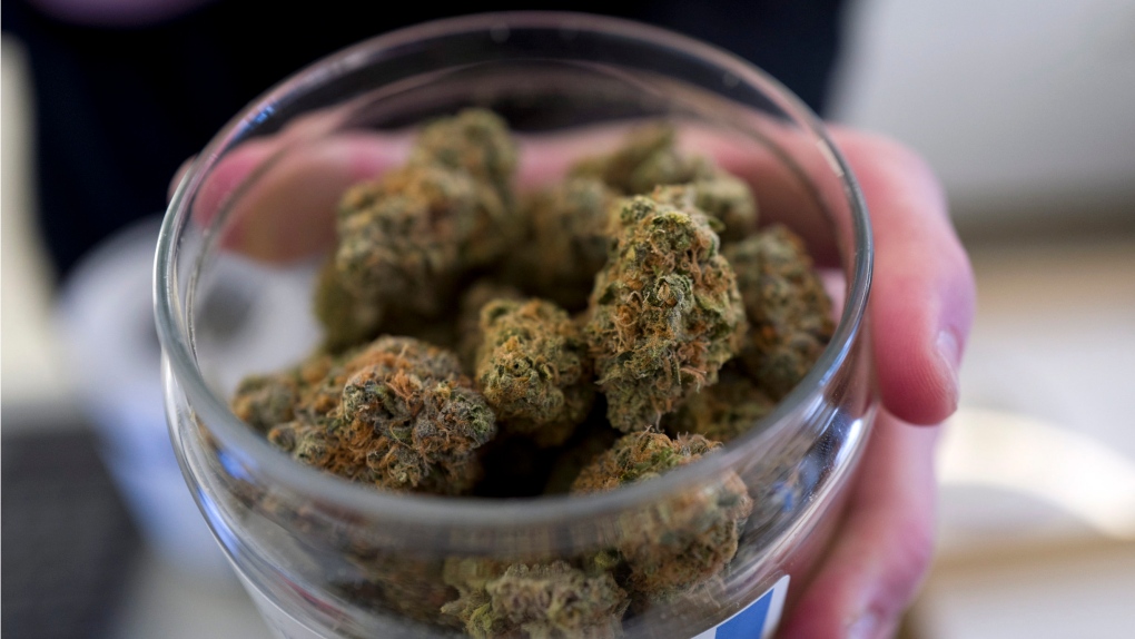 In this Feb. 7, 2019, file photo, a bud tender shows a top cannabis strain at Serra, a dispensary in Portland, Ore. (AP Photo/Richard Vogel, File)