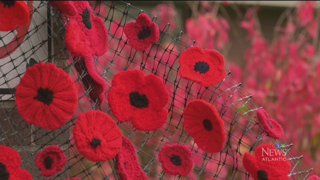 Legion poppy campaign in full swing