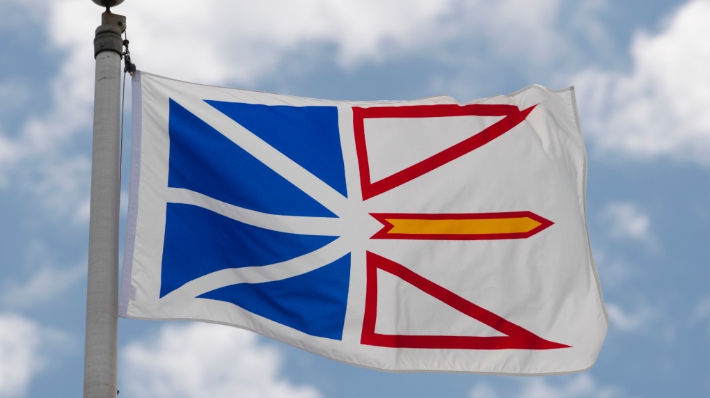 Newfoundland and Labrador's provincial flag flies on a flag pole in Ottawa, Friday July 3, 2020. (THE CANADIAN PRESS/Adrian Wyld)