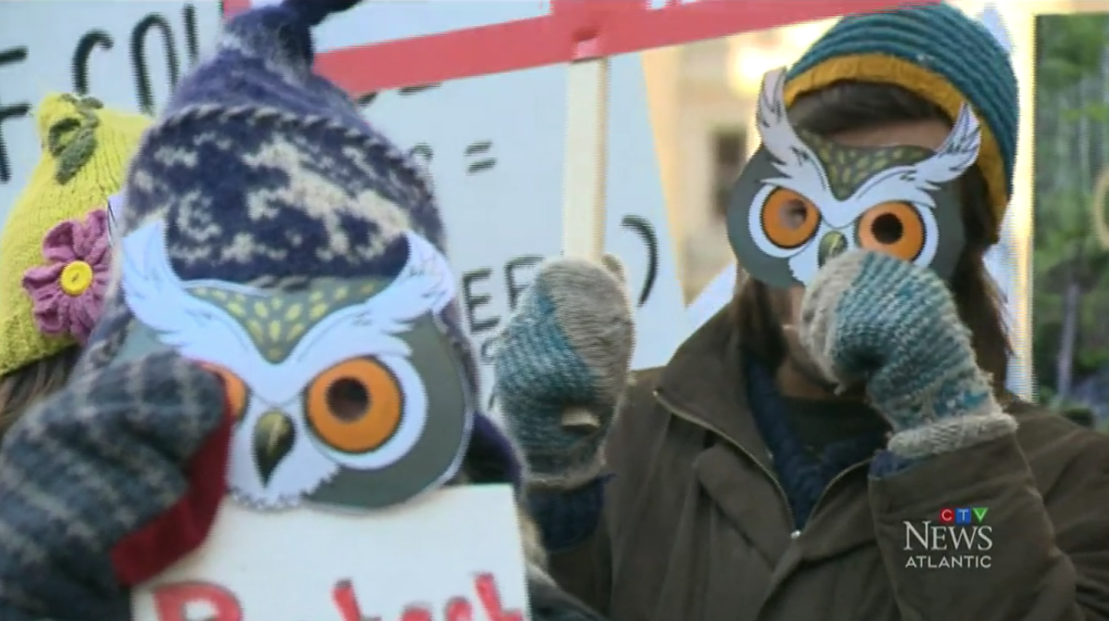 Fight for Owls Head, N.S. land returns to court