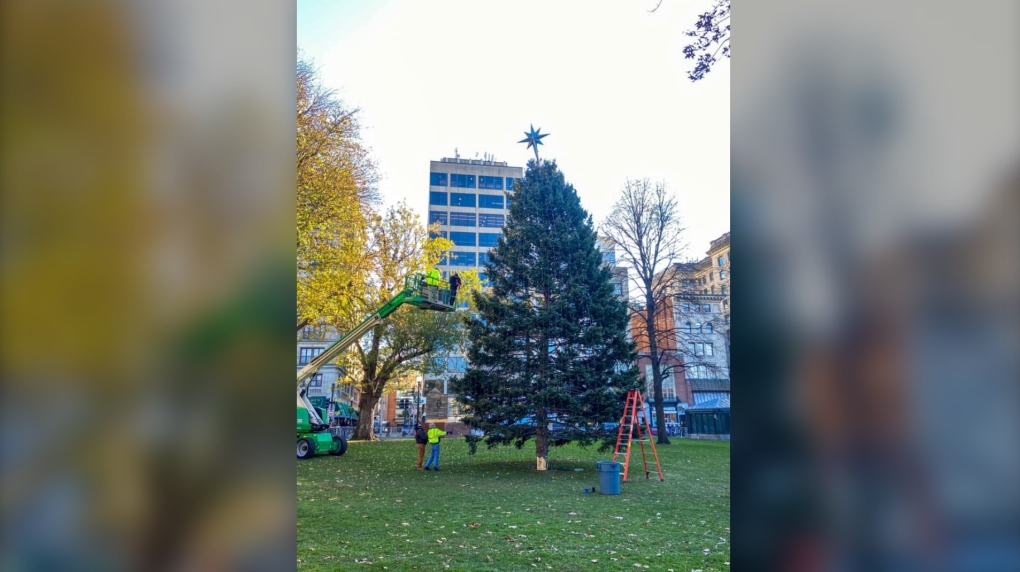 This year's tree, a 60-year-old, 48-foot white spruce, was donated by L'Arche Cape Breton – a non-profit organization in Orangedale, N.S., that creates safe, supportive homes and meaningful work for people with disabilities. (Photo courtesy: Facebook/ Tree for Boston) 