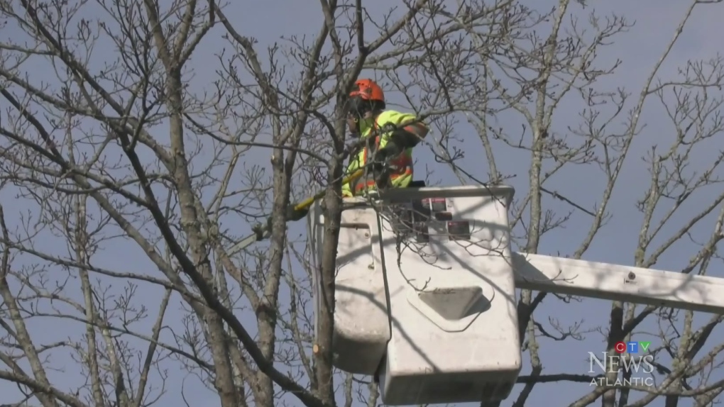 N.S. Power prepares for storm