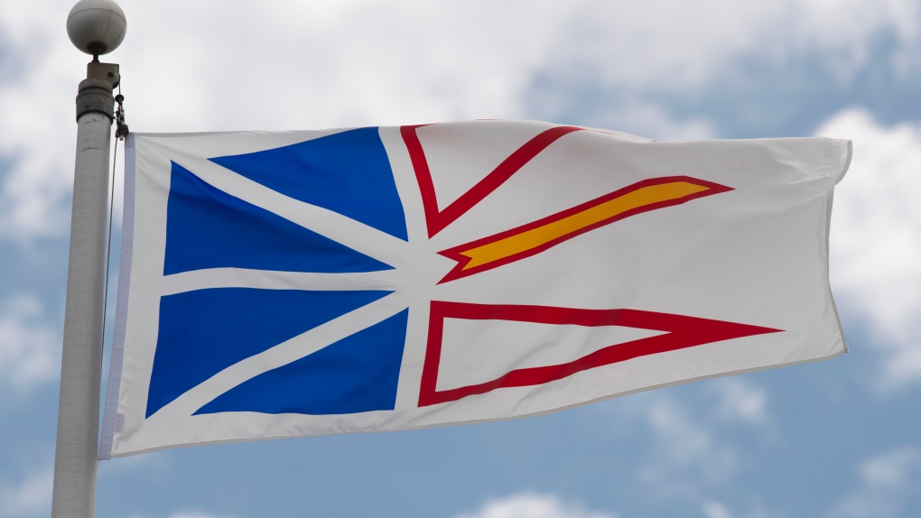 Newfoundland and Labrador's provincial flag flies on a flag pole in Ottawa, Friday July 3, 2020. THE CANADIAN PRESS/Adrian Wyld 