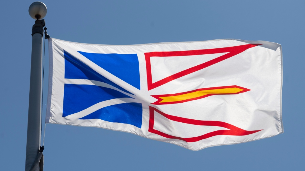 Newfoundland & Labrador's provincial flag flies on a flag pole in Ottawa, Monday July 6, 2020. THE CANADIAN PRESS/Adrian Wyld 