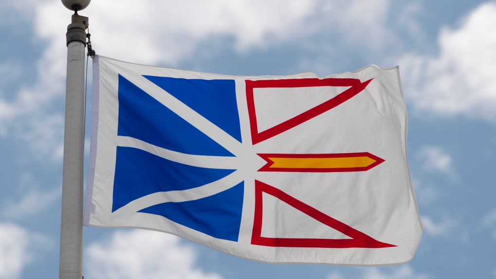 Newfoundland and Labrador's provincial flag flies on a flag pole in Ottawa, Friday, July 3, 2020. THE CANADIAN PRESS/Adrian Wyld 