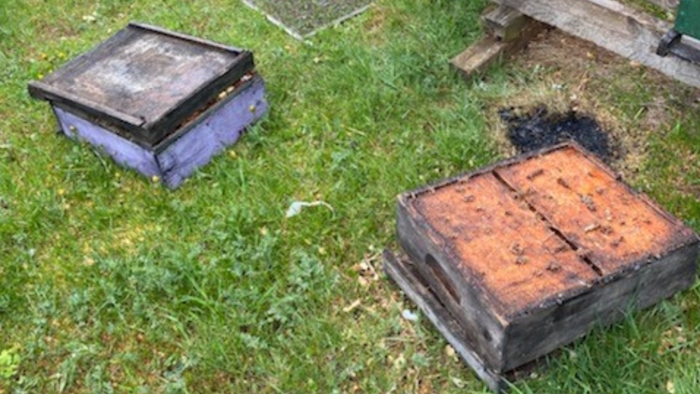 A beehive containing an active colony of bees from stolen from a property in Iris, P.E.I. Police say several pieces of the hive, including the top cover, were left behind. (P.E.I. RCMP)