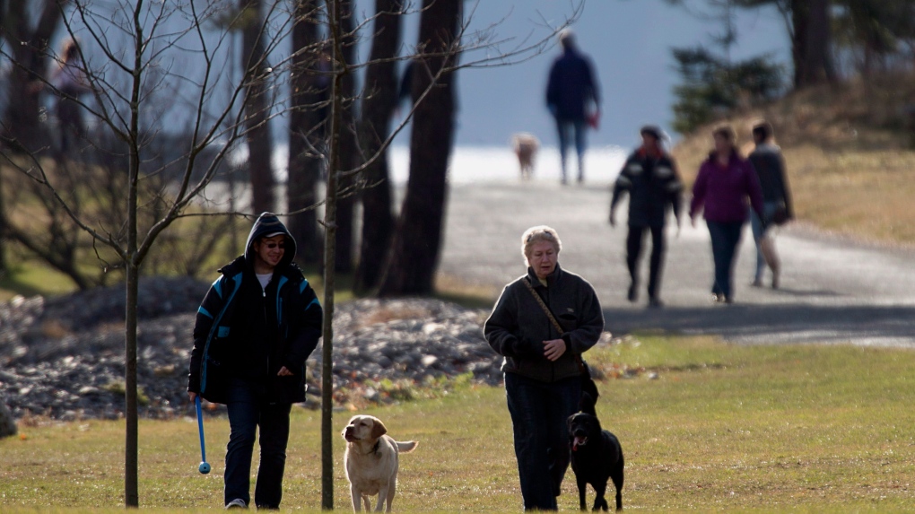 People stroll in Point Pleasant Park in Halifax on Sunday, Dec.9, 2012. THE CANADIAN PRESS/Andrew Vaughan 
