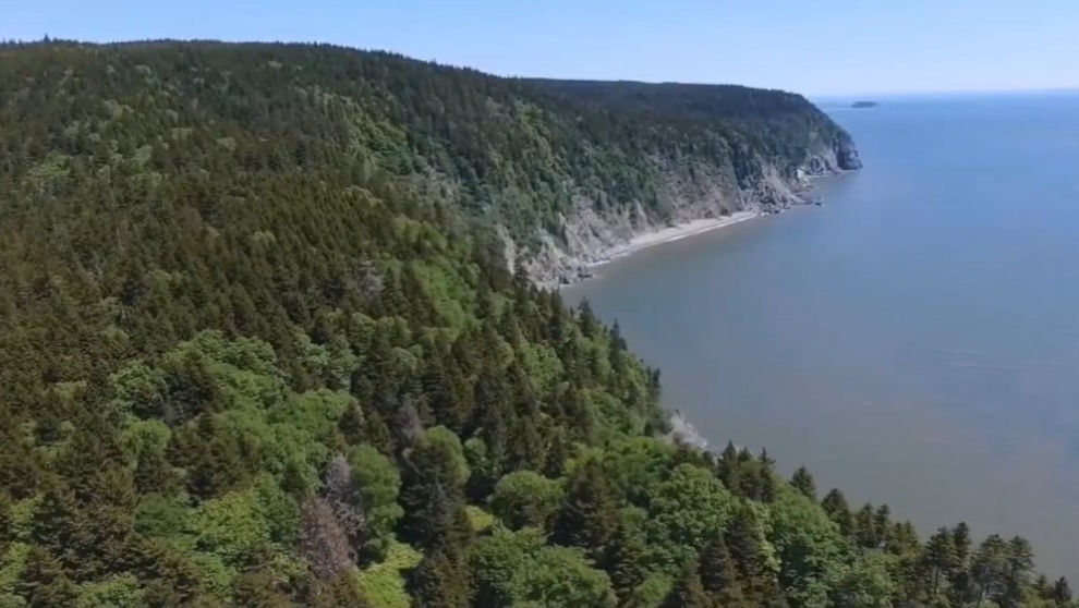 New Brunswick has protected roughly 420,000 hectares and expects to get to 700,000 hectares by April 2023, which Holland says that would be equivalent to about 19 Fundy National Parks. (Source: gnb.ca)