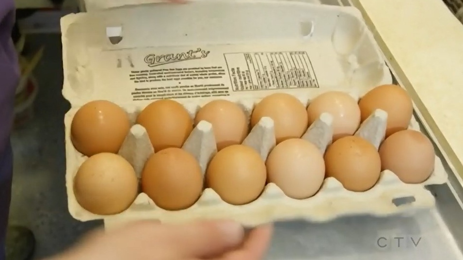 Egg Farmers of New Brunswick