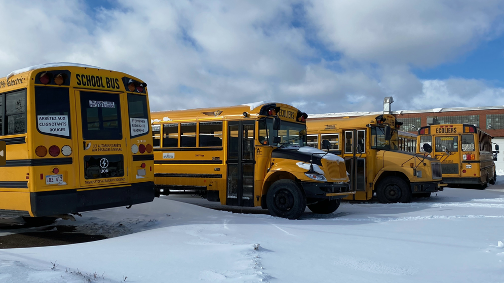 Snow-covered school buses are pictured in New Brunswick. (Derek Haggett/CTV)