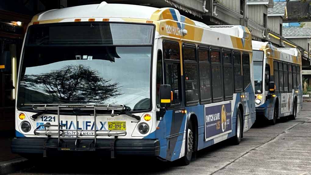 Halifax Transit busses are lined up at the Water Street terminal in downtown Halifax. (Jonathan MacInnis/CTV Atlantic)