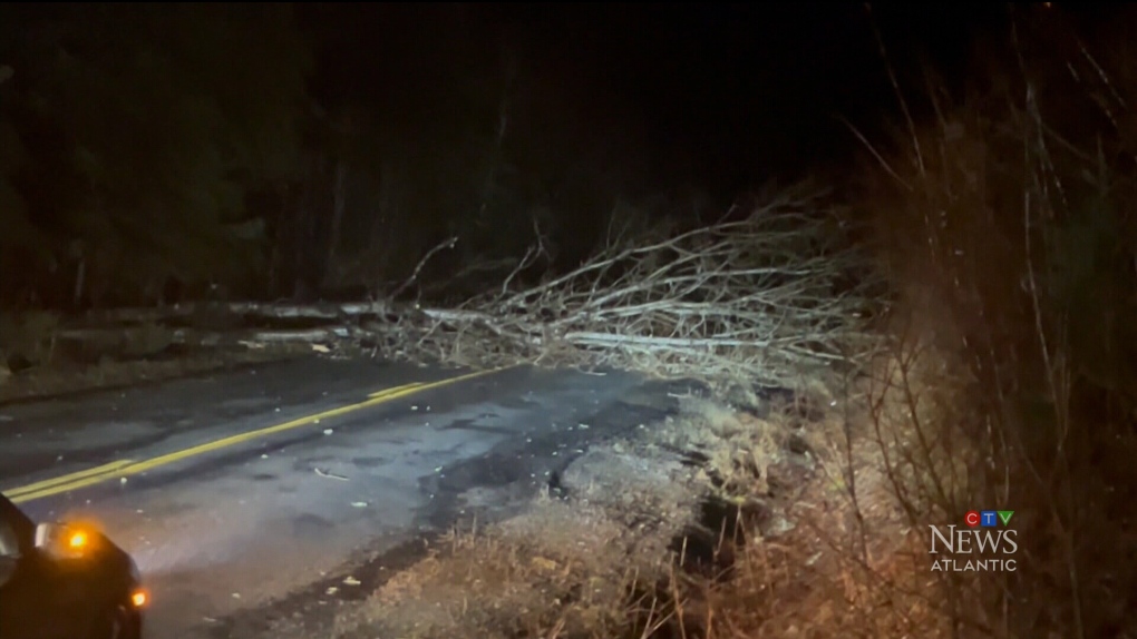 Power Outage In Digby After Tractor Trailer Hooks Power Lines