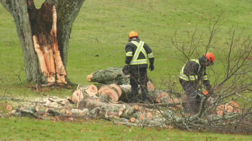 Storm leaves over 110,000 in the dark in N.S.