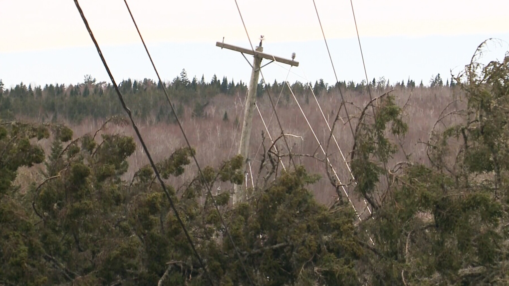 Some N.B. Residents May Spend Holidays In The Dark