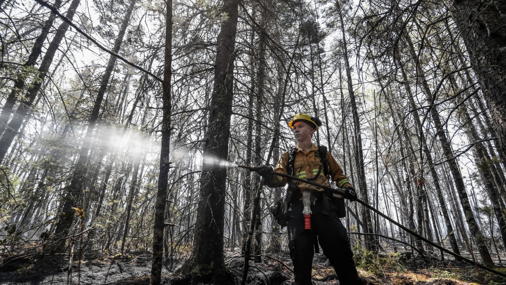 Wildfire causes end of season grief, challenges, for lobster fishermen in  Shelburne County