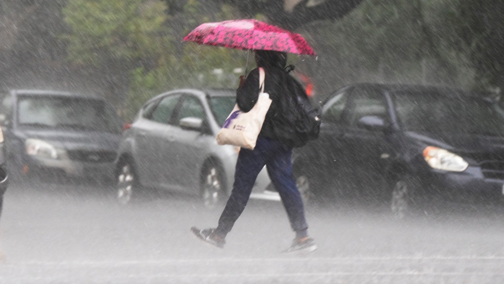 Maritime rainfall warnings and weather statements | CTV News