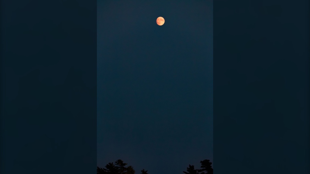 The nearly Full Moon Wednesday night taken by Barry Burgess in Shelburne County, NS. The orange tint a result of haze aloft created by wildfire smoke. (Courtesy: Barry Burgess)