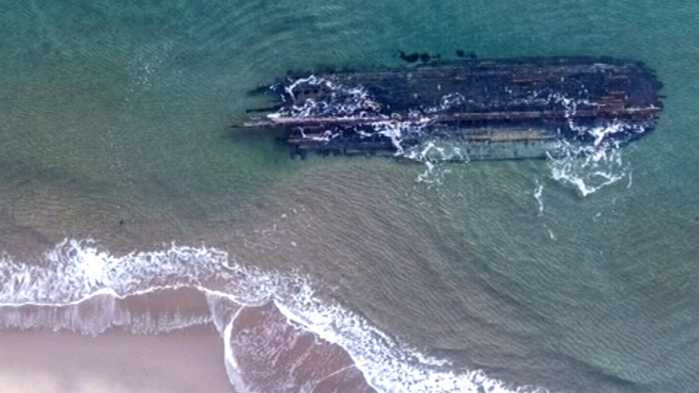 Mysterious shipwreck washes up on N.L shore