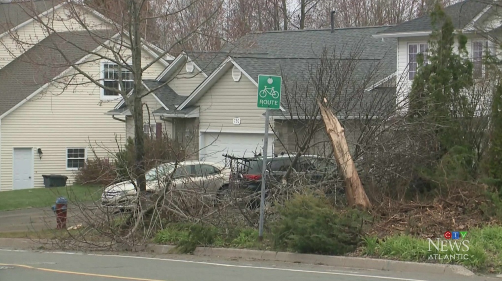 Violent car crash shakes Fredericton community