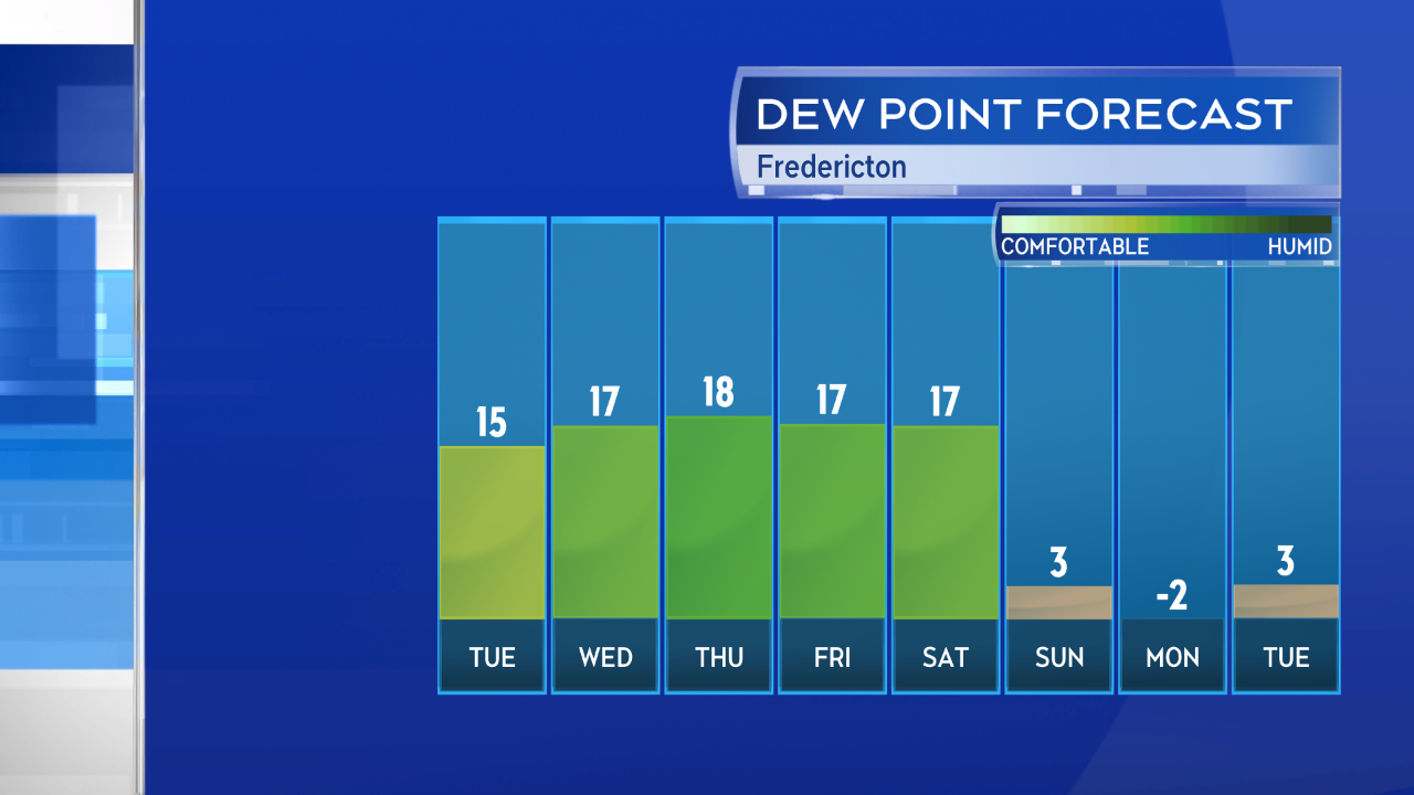 7 day dew point forecast