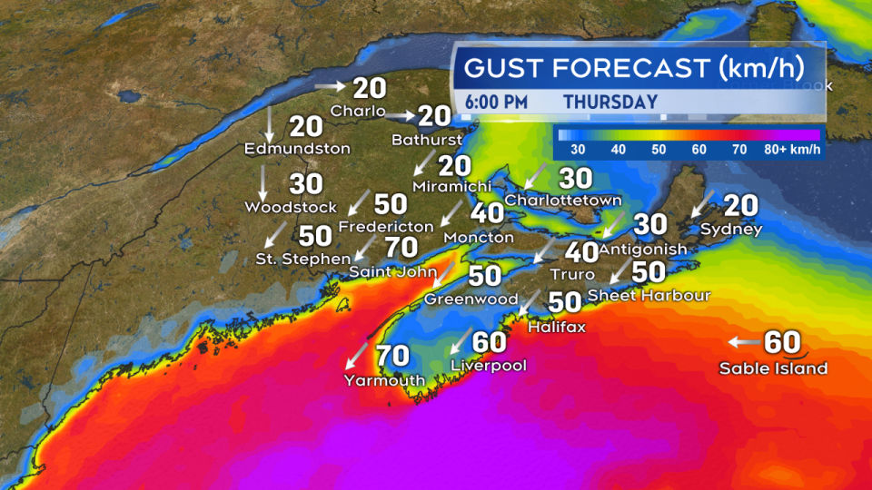 gust forecast